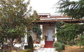 Villa Ioanna